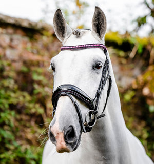 Bridon Horseware® Diamante Flash