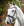 Bridon Horseware® Diamante Flash