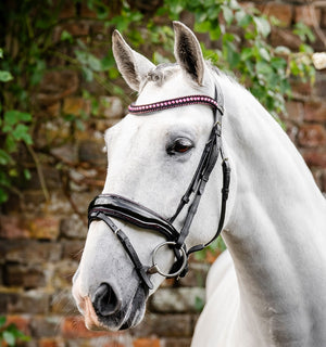 Bridon Horseware® Diamante Flash