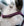 Bridon Poney Horseware® Diamante Flash
