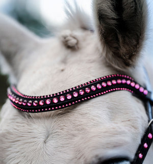 Bridon Poney Horseware® Diamante Flash