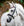 Bridon Poney Horseware® Diamante Flash