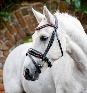 Bridon Poney Horseware® Diamante Flash