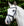 Bridon de Dressage Horseware® Muserolle Flash