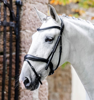 Bridon de Dressage Horseware® Muserolle Flash