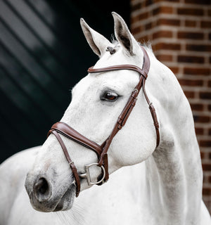 Bridon de Dressage Horseware® Muserolle Flash