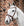 Bridon de Dressage Horseware® Muserolle Flash