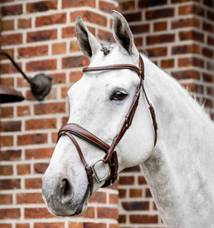 Bridon de Dressage Horseware® Muserolle Flash