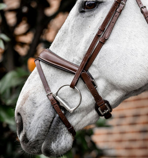 Bridon de Dressage Horseware® Muserolle Flash