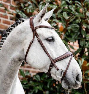 Bridon de Dressage Horseware® Muserolle Flash