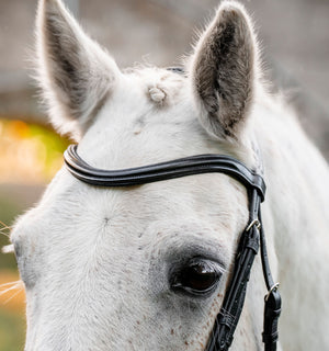 Bridon Poney Horseware® Muserolle Flash