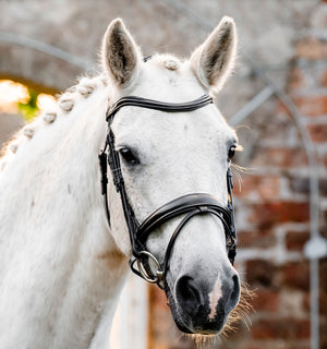 Bridon Poney Horseware® Muserolle Flash