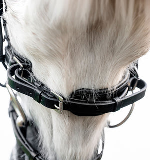Bridon Poney Horseware® Muserolle Flash