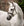 Bridon Poney Horseware® Muserolle Flash