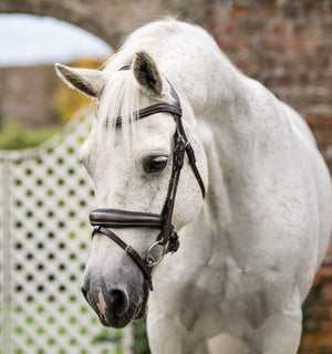 Bridon Poney Horseware® Muserolle Flash