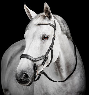Bridon de Compétition Horseware Micklem® Diamante