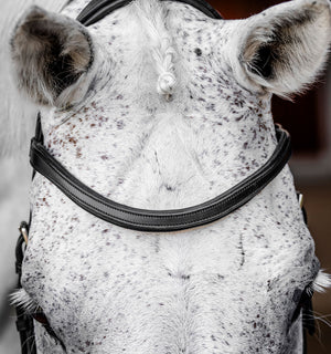 Bridon de Compétition Horseware Micklem®