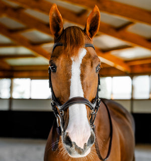Bridon de Compétition Horseware Micklem®