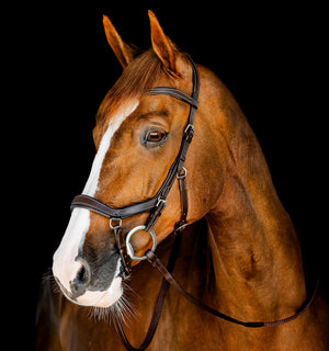Bridon de Compétition Horseware Micklem®
