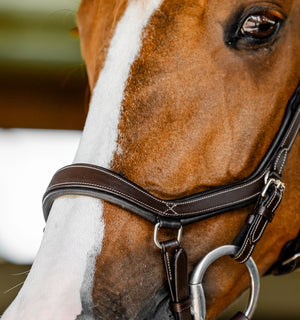 Bridon de Compétition Horseware Micklem®