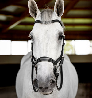 Bridon de Compétition Horseware Micklem® Deluxe