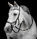 Image for Horseware Micklem® Deluxe sacensību iemaukti - pacelts deguna siksnas un pieres siksnas dizains