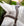 Bridon de Compétition Horseware Micklem® Deluxe
