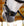 Bridon Multi Horseware Micklem®