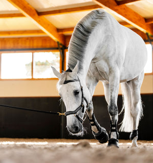 Bridon Multi Horseware Micklem®