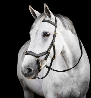 Bridon Multi Horseware Micklem®