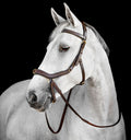 Image for Bridon Multi Horseware Micklem® – Bridon, sans mors, caveçon de longe et licol