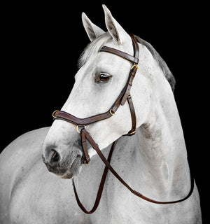 Bridon Multi Horseware Micklem®