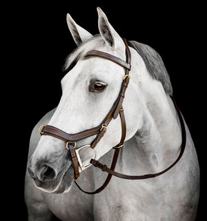 Bridon Multi Horseware Micklem®