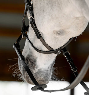 Bridon Sans Mors Horseware Micklem®