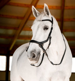 Bridon Sans Mors Horseware Micklem®