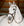 Bridon Sans Mors Horseware Micklem®