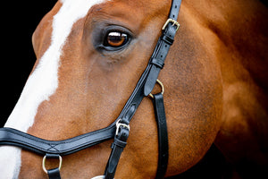 Horseware Micklem2 Competition kantár