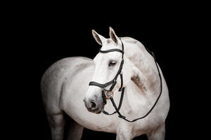Horseware Micklem2 Competition kantár