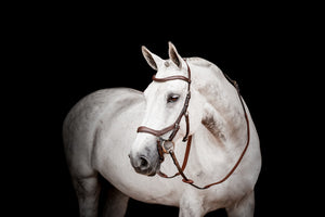 Horseware Micklem2 Competition kantár