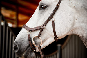 Horseware Micklem2 Competition kantár