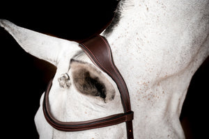 Horseware Micklem2 Competition kantár