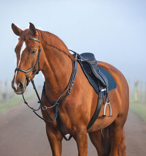 Collier de Chasse Horseware Micklem® avec Attache Martingale