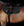 Sangle Longue Horseware Micklem®