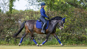 Le Mieux – Tapis de Dressage Suede Square LeMieux    | Sellerie Bucéphale