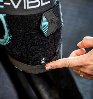 Protège-jarrets Ice-Vibe® Horseware