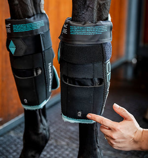 Protège-genoux Ice-Vibe® Horseware