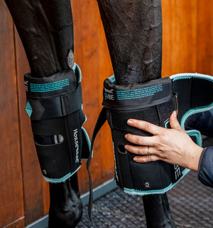 Protège-genoux Ice-Vibe® Horseware