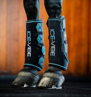Guêtres Ice-Vibe® Horseware