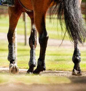 Protège-Boulets Horseware® Classic