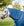 Couvre-cou d’Extérieur Thérapeutique Horseware® Ionic 0g